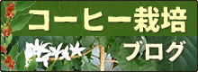 コーヒー栽培ブログ